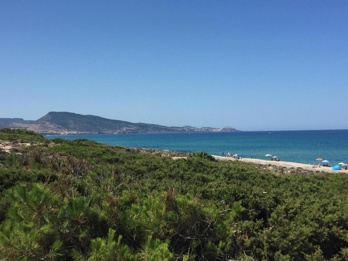 Carrabean Sea In The North Of Sardegna, With Swimming Pool Villa Viddalba Luaran gambar