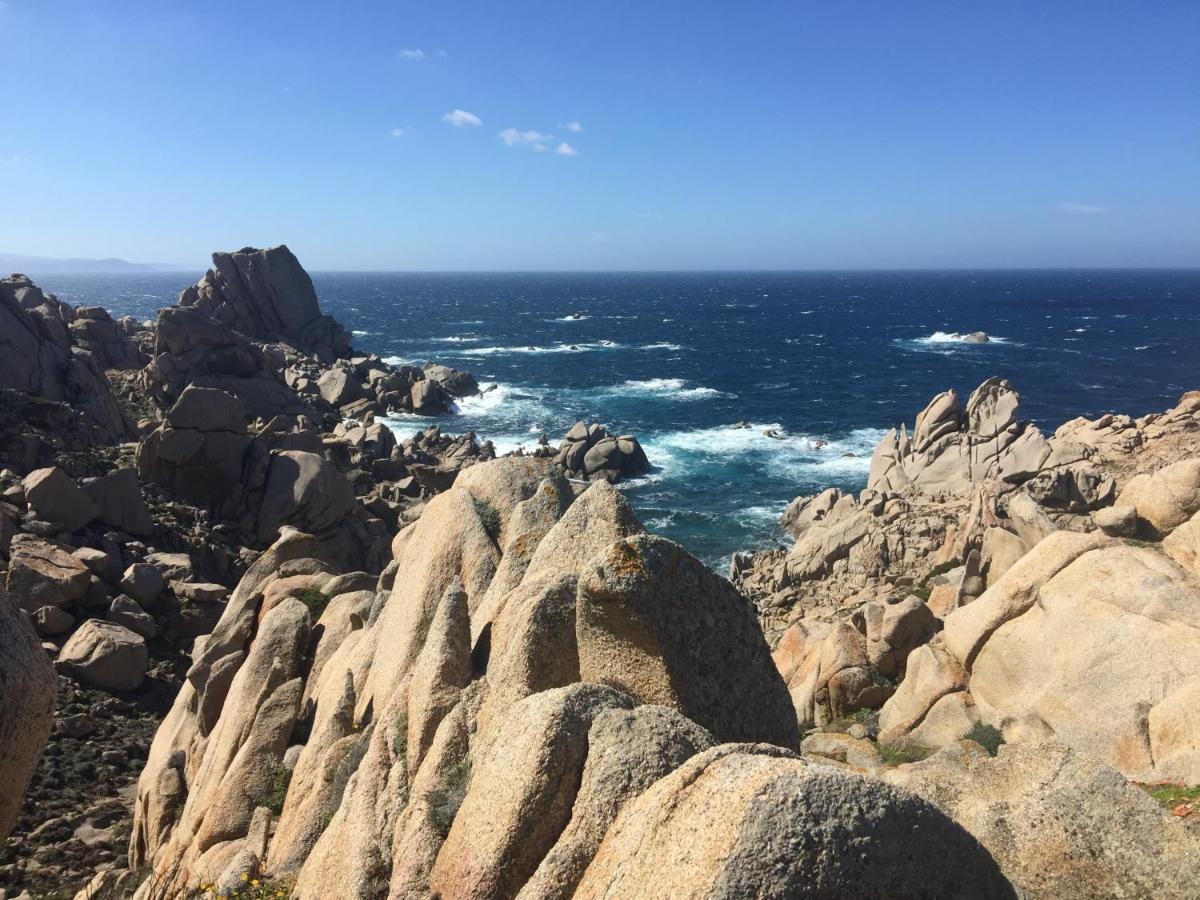 Carrabean Sea In The North Of Sardegna, With Swimming Pool Villa Viddalba Luaran gambar