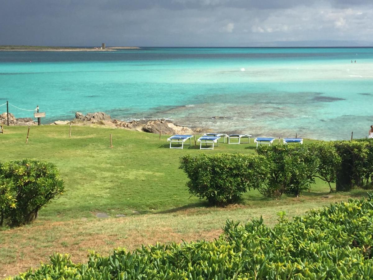 Carrabean Sea In The North Of Sardegna, With Swimming Pool Villa Viddalba Luaran gambar