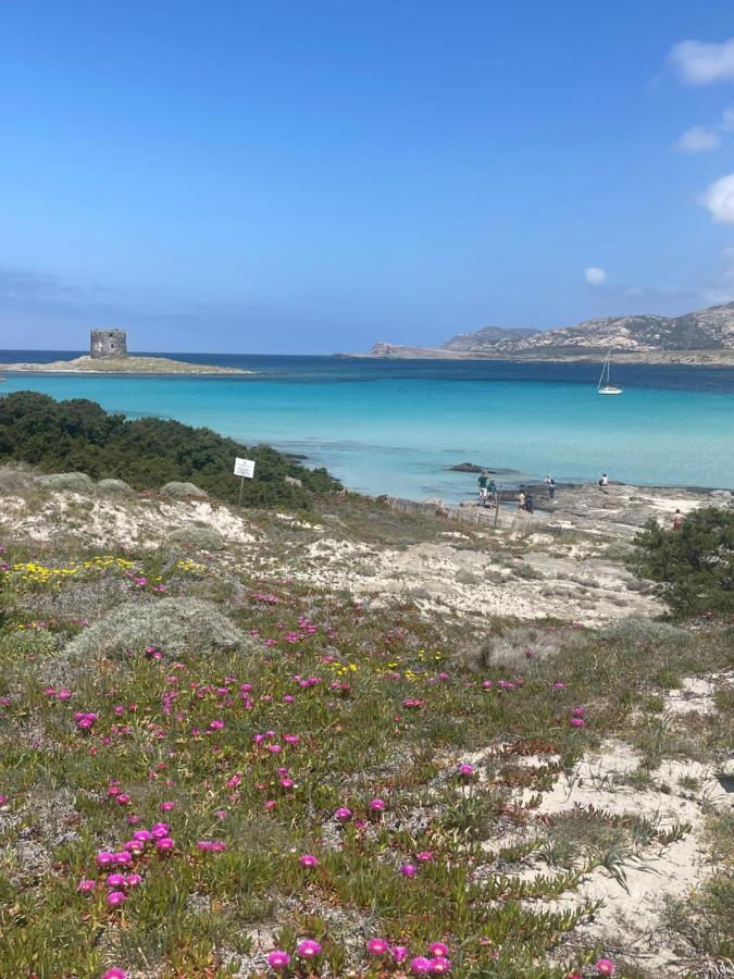 Carrabean Sea In The North Of Sardegna, With Swimming Pool Villa Viddalba Luaran gambar